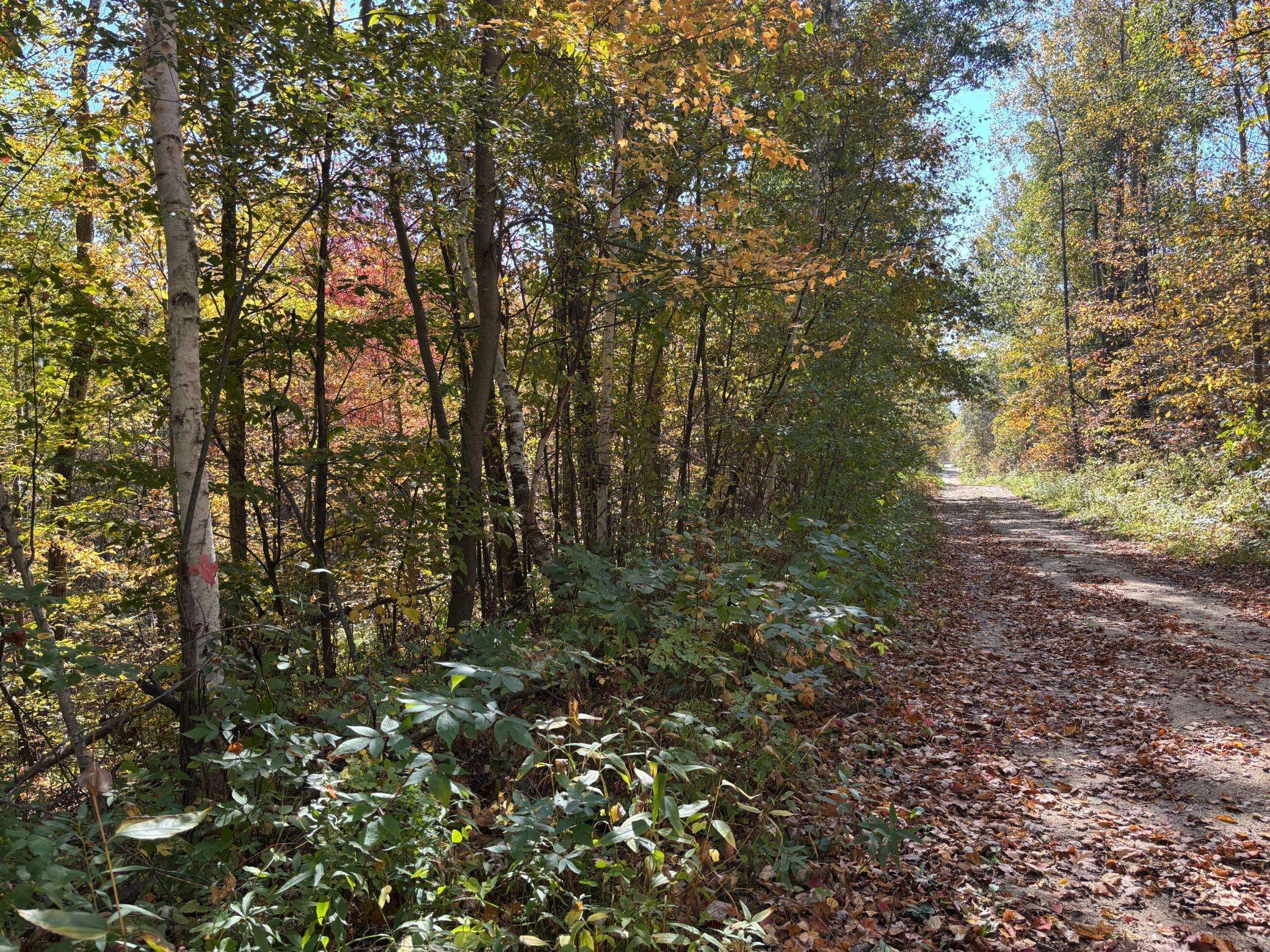 TBD County Road 12, Akeley, MN 56433