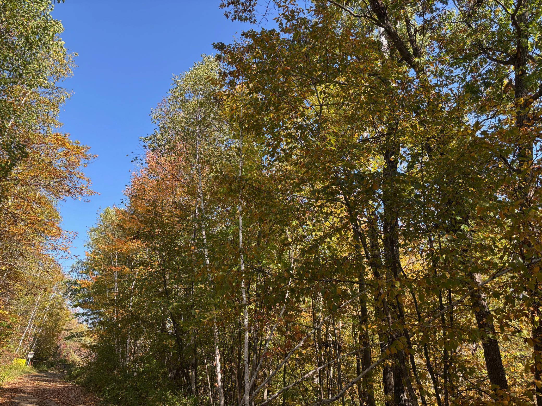 TBD County Road 12, Akeley, MN 56433