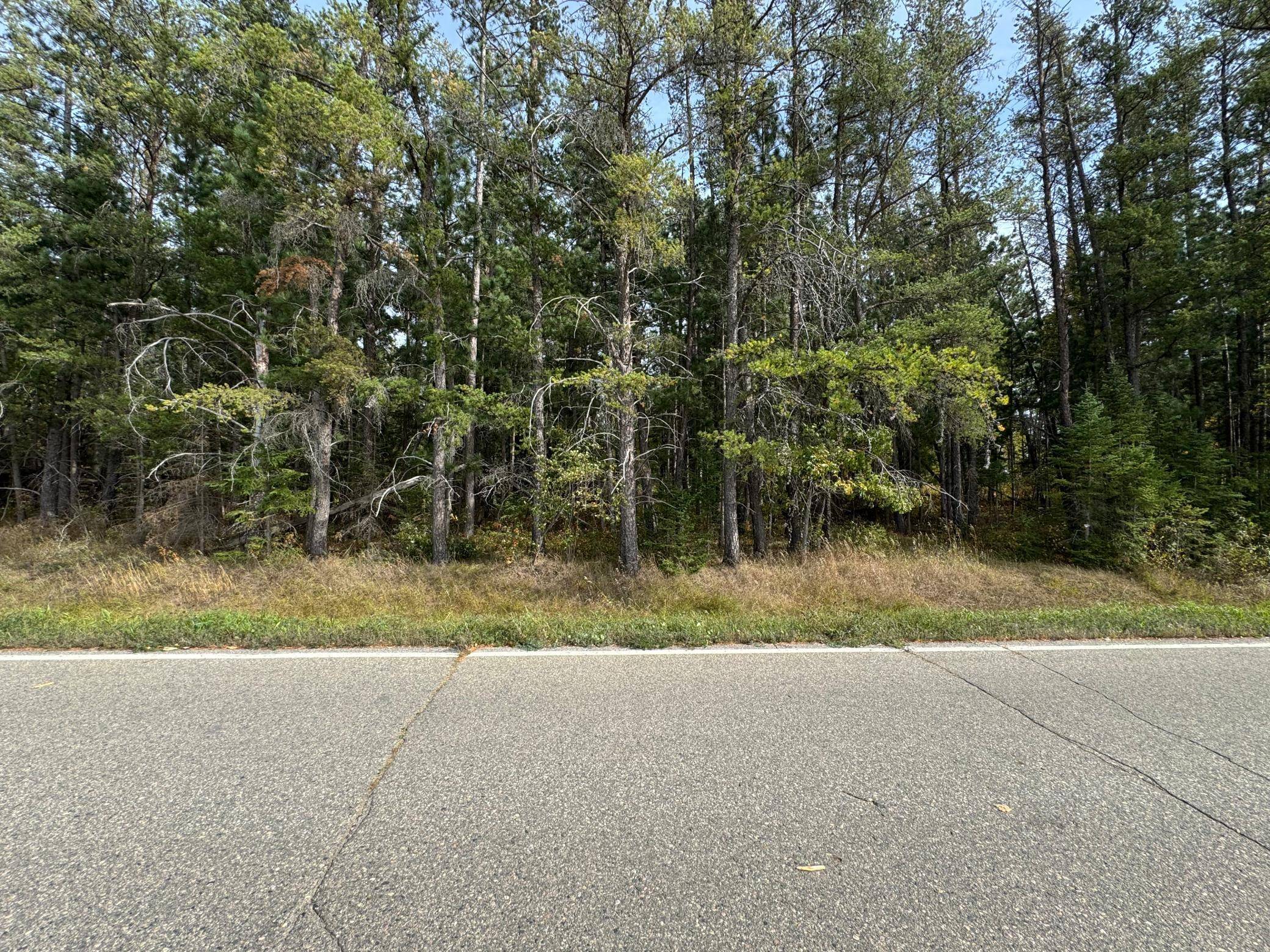 TBD 243rd AVE, Shevlin, MN 56676