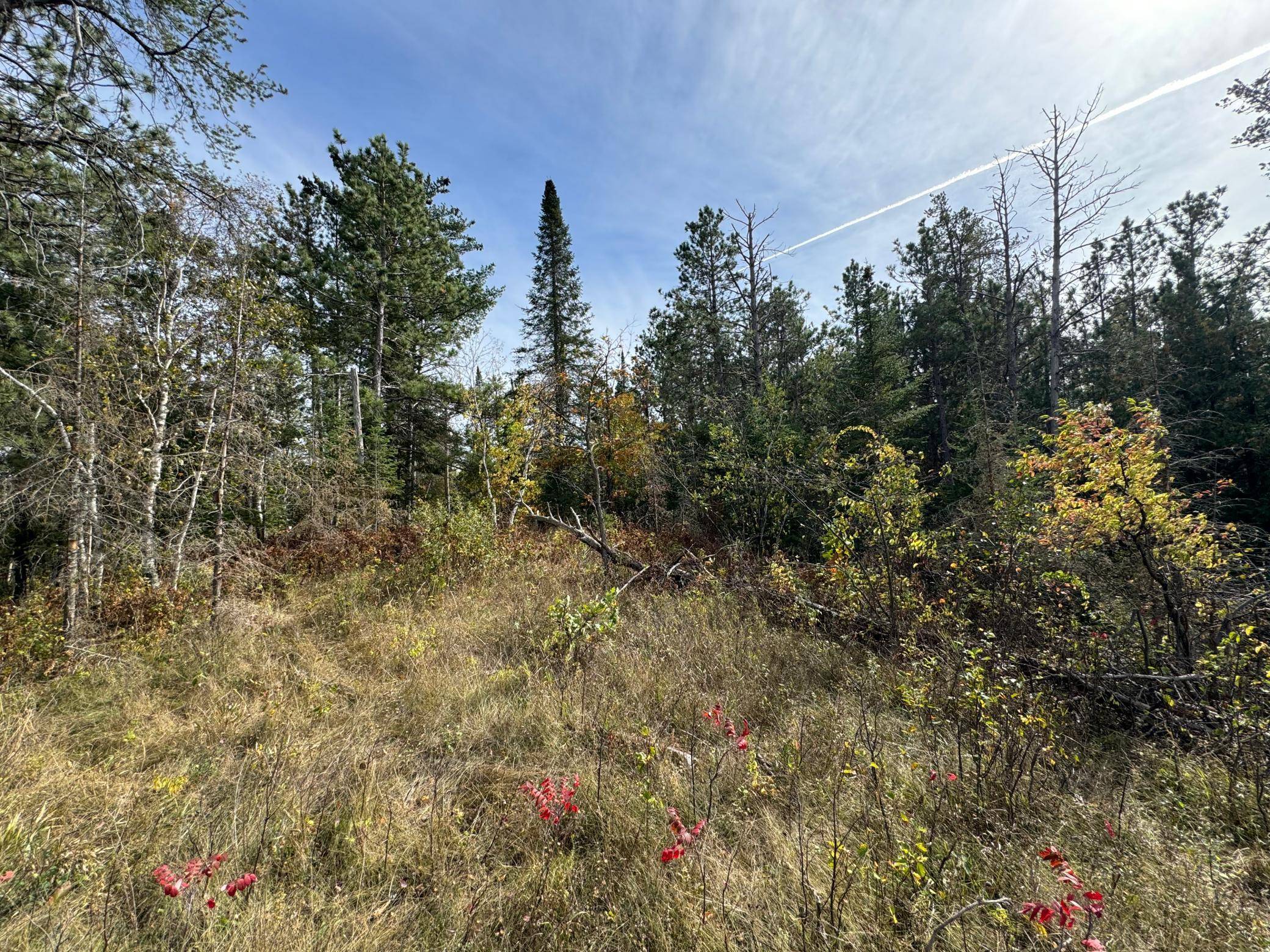 TBD 243rd AVE, Shevlin, MN 56676