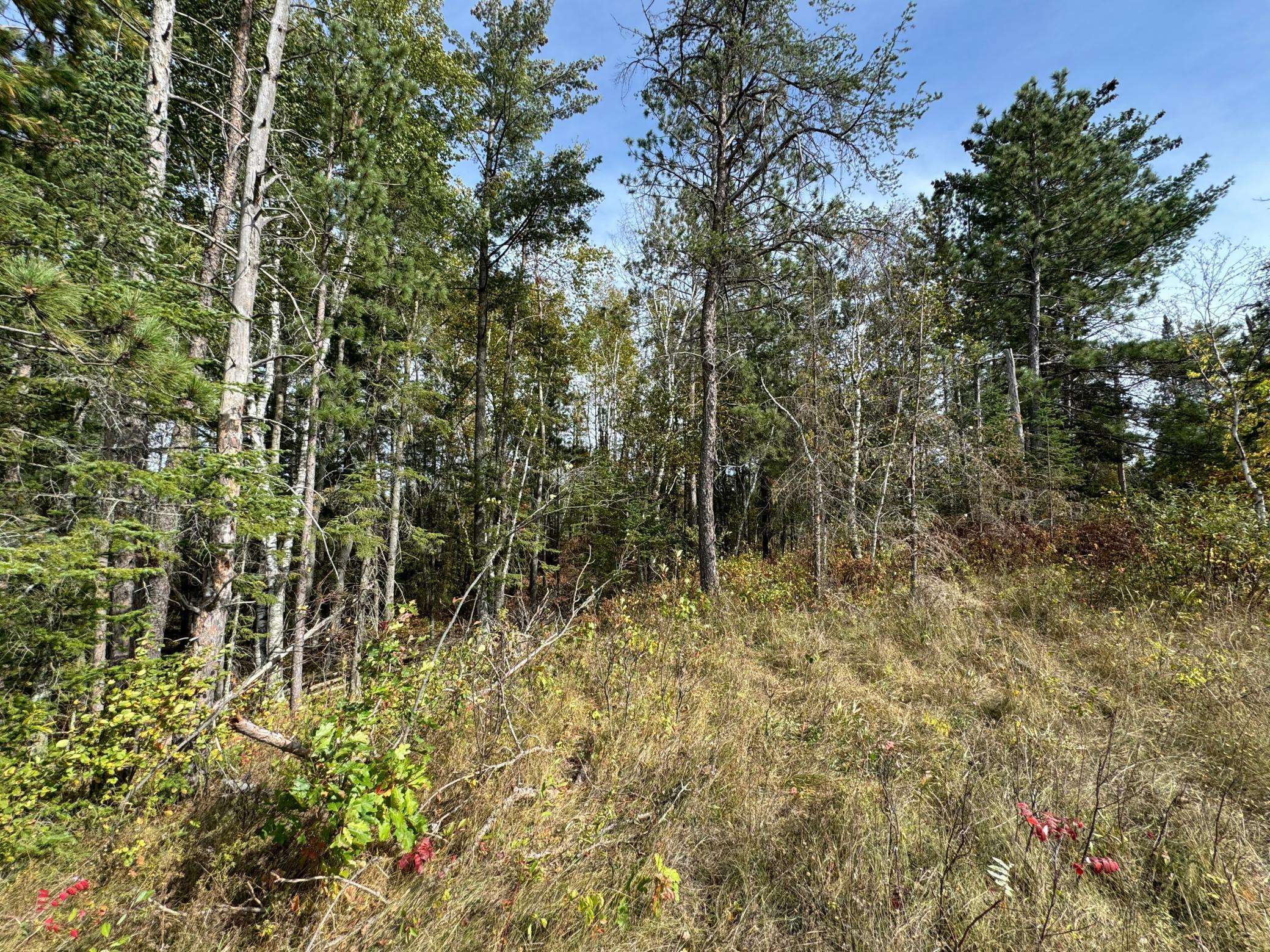 TBD 243rd AVE, Shevlin, MN 56676