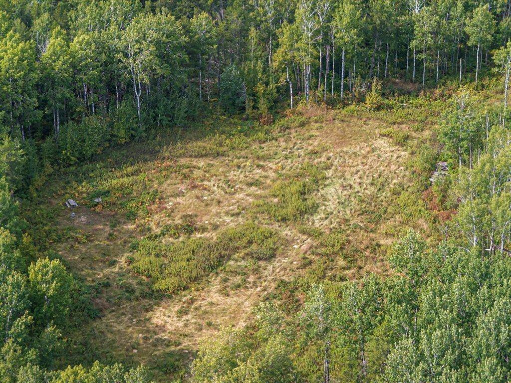 Parcel G Horseshoe Lake Rd, Merrifield, MN 56465
