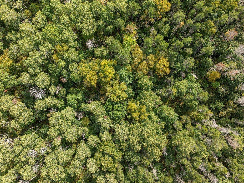 Parcel G Horseshoe Lake Rd, Merrifield, MN 56465