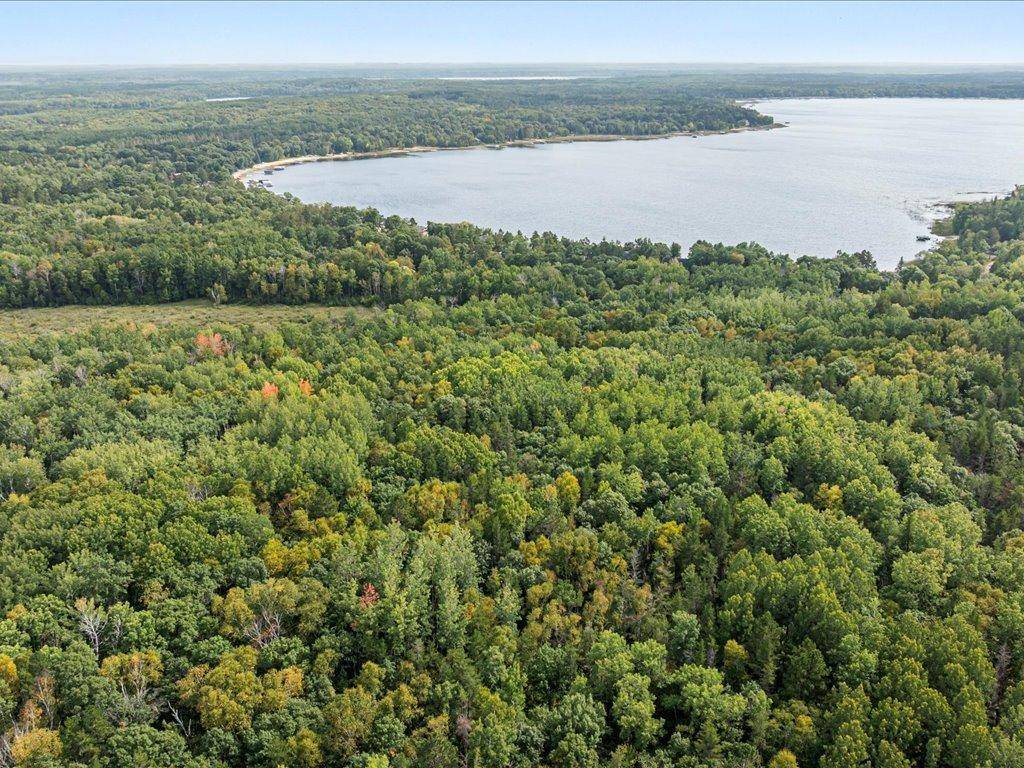 Parcel G Horseshoe Lake Rd, Merrifield, MN 56465
