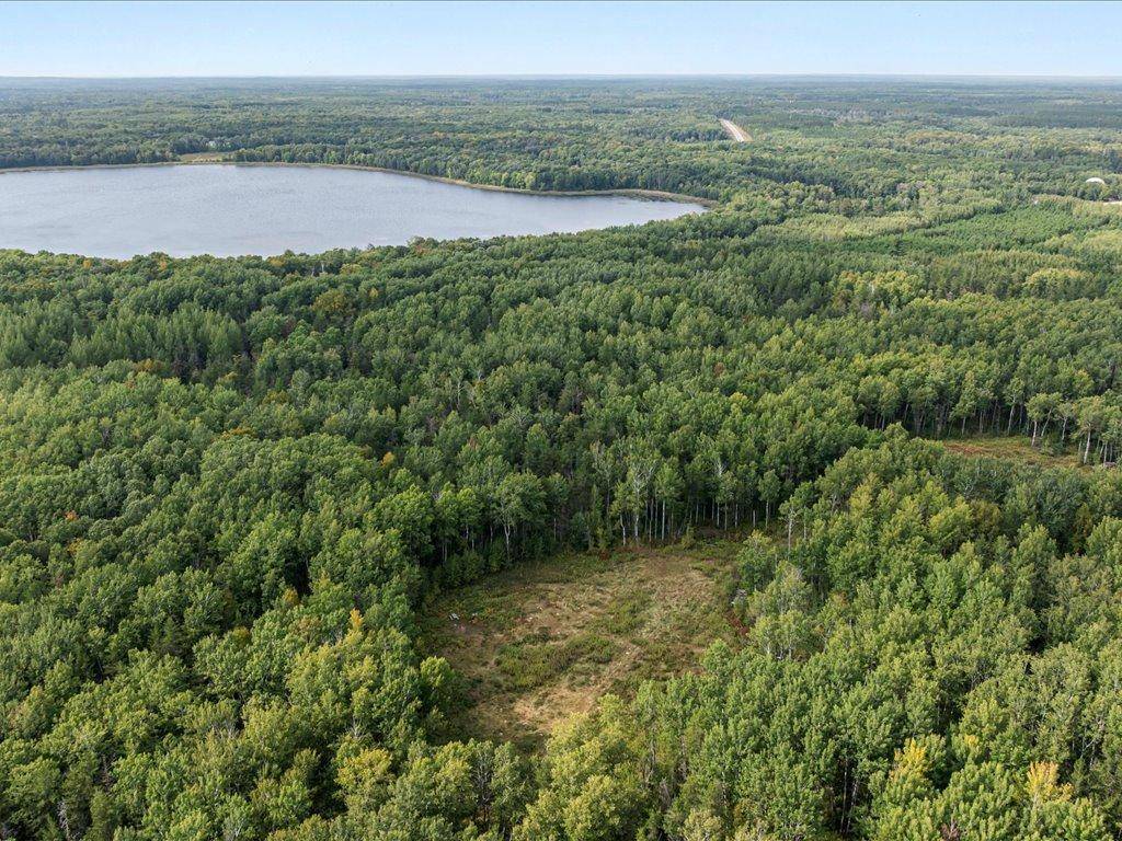 Parcel G Horseshoe Lake Rd, Merrifield, MN 56465