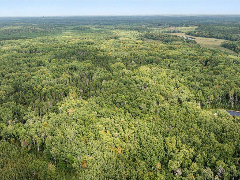 Lot A Sandbar Lane, Merrifield, MN 56465