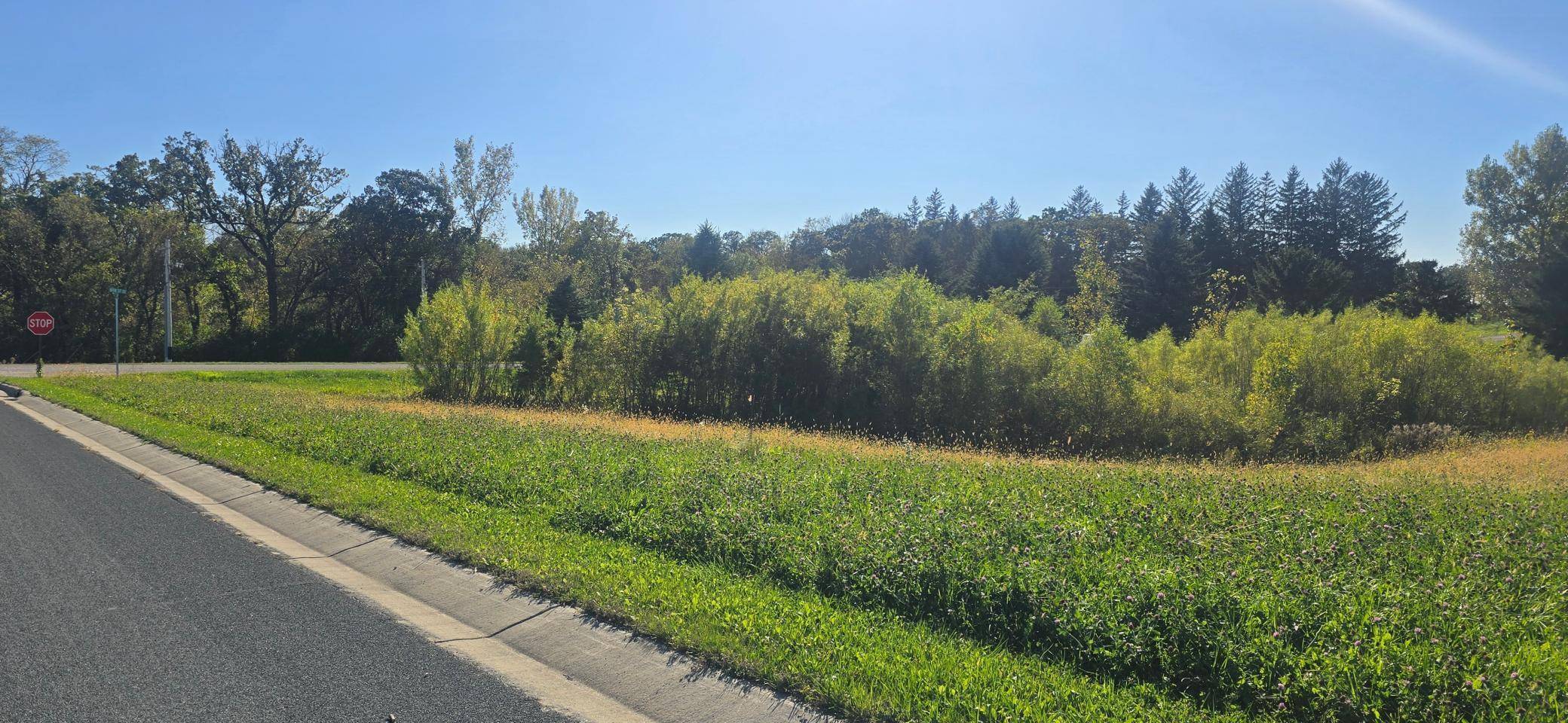 TBD ( Lot 1, Blk 1) 3rd AVE SE, Harmony, MN 55939