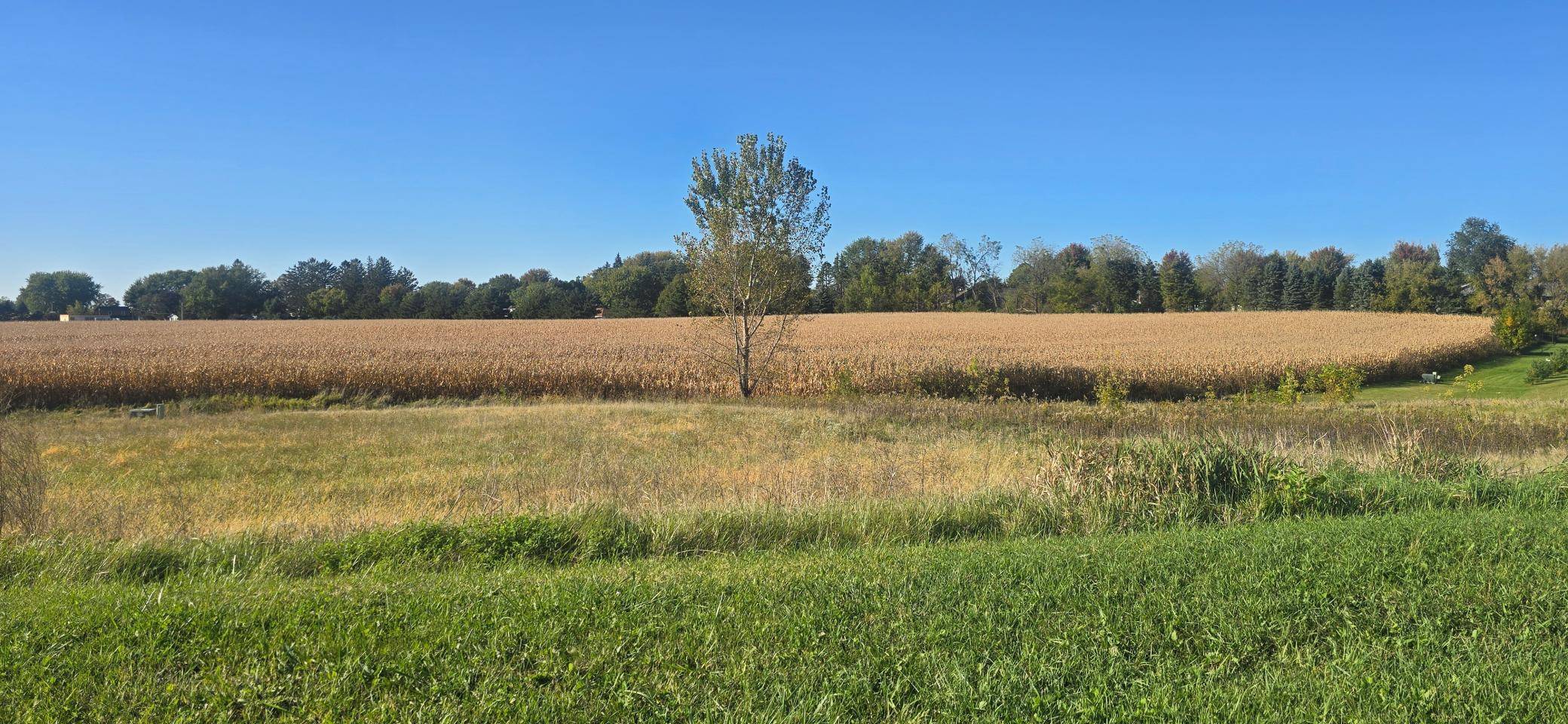 TBD ( Lot 4, Blk 1) 3rd AVE SE, Harmony, MN 55939
