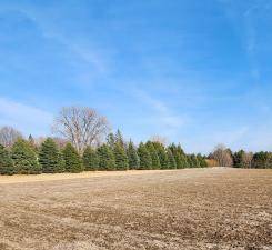 Lot 7 706th St, Wabasha, MN 55981