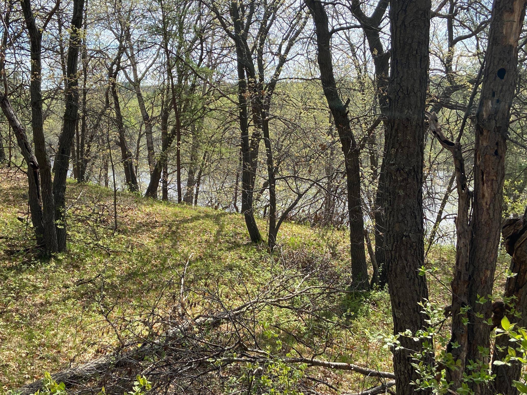 TBD Eagle Ridge, Baxter, MN 56425