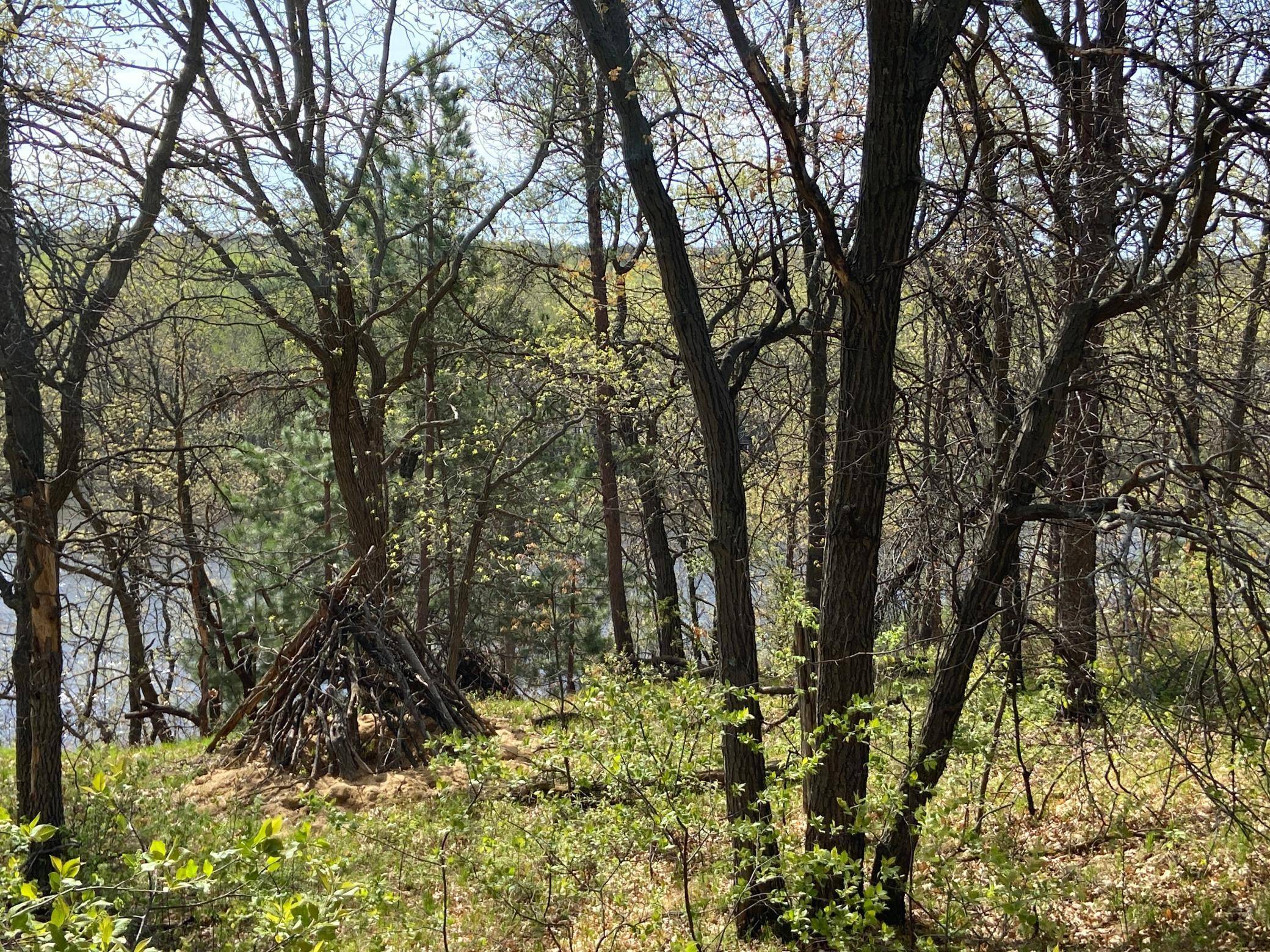 TBD Eagle Ridge, Baxter, MN 56425