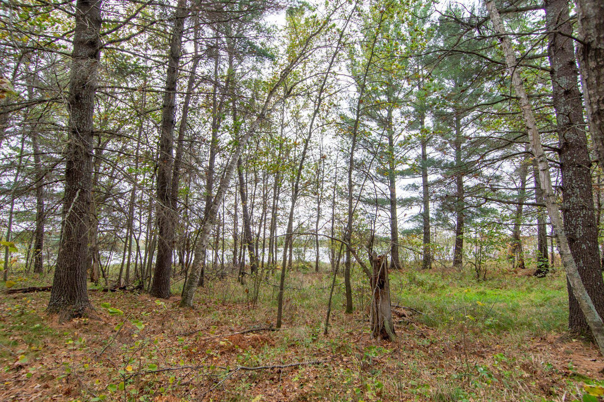 TBD Harriet Lake Trail NW, Backus, MN 56435