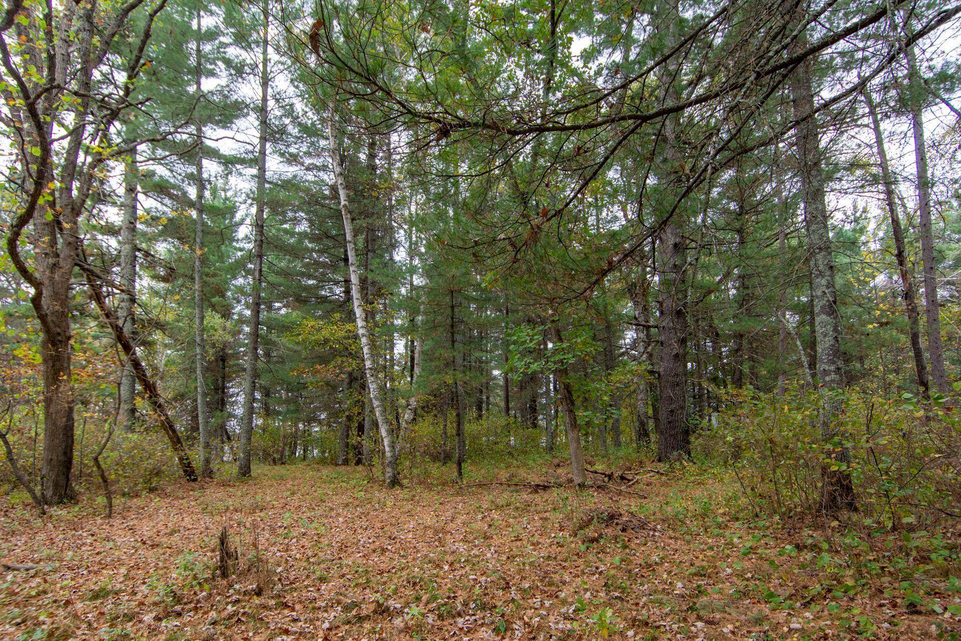 TBD Harriet Lake Trail NW, Backus, MN 56435