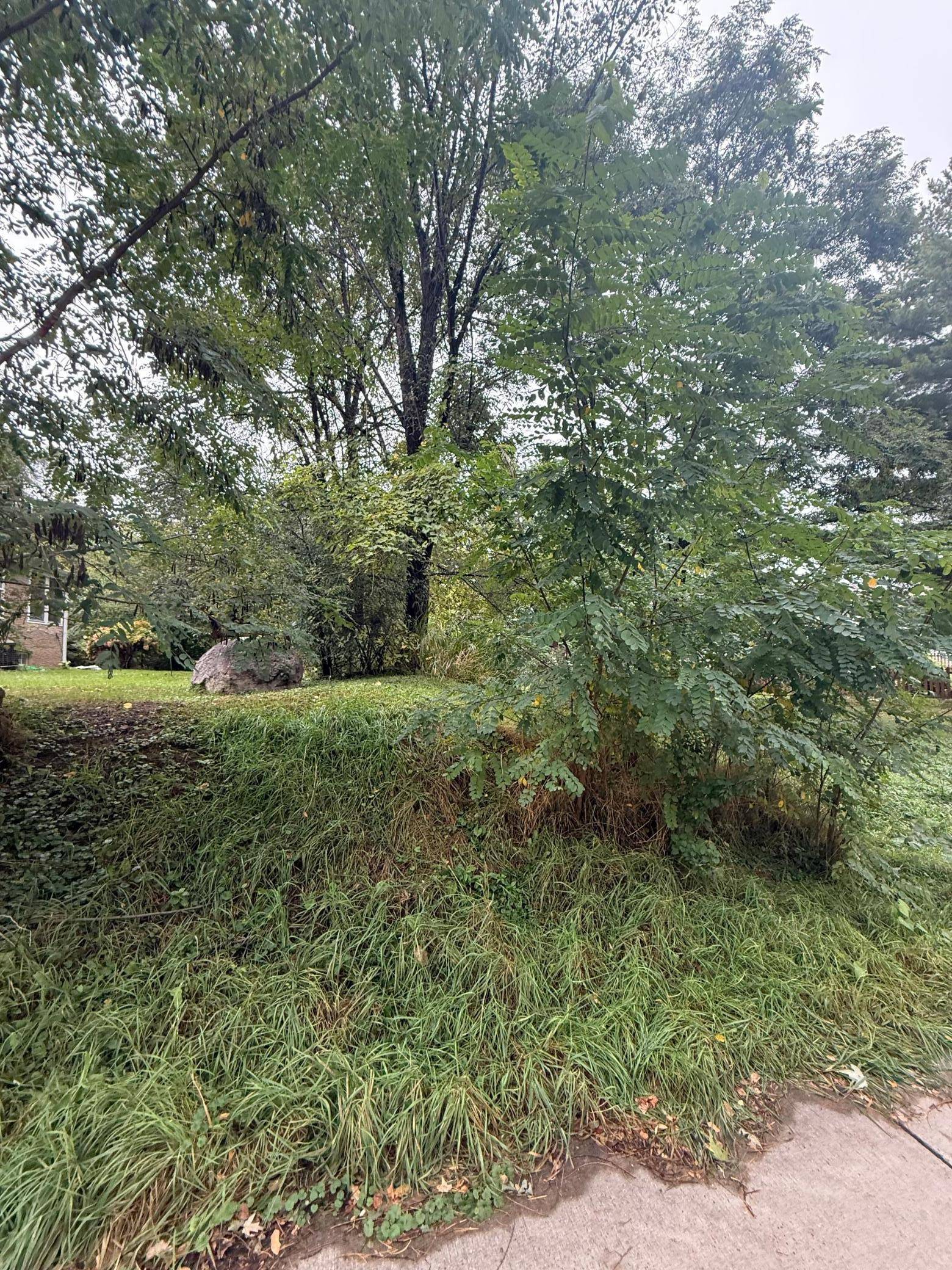 1425 Evans AVE, South Saint Paul, MN 55075