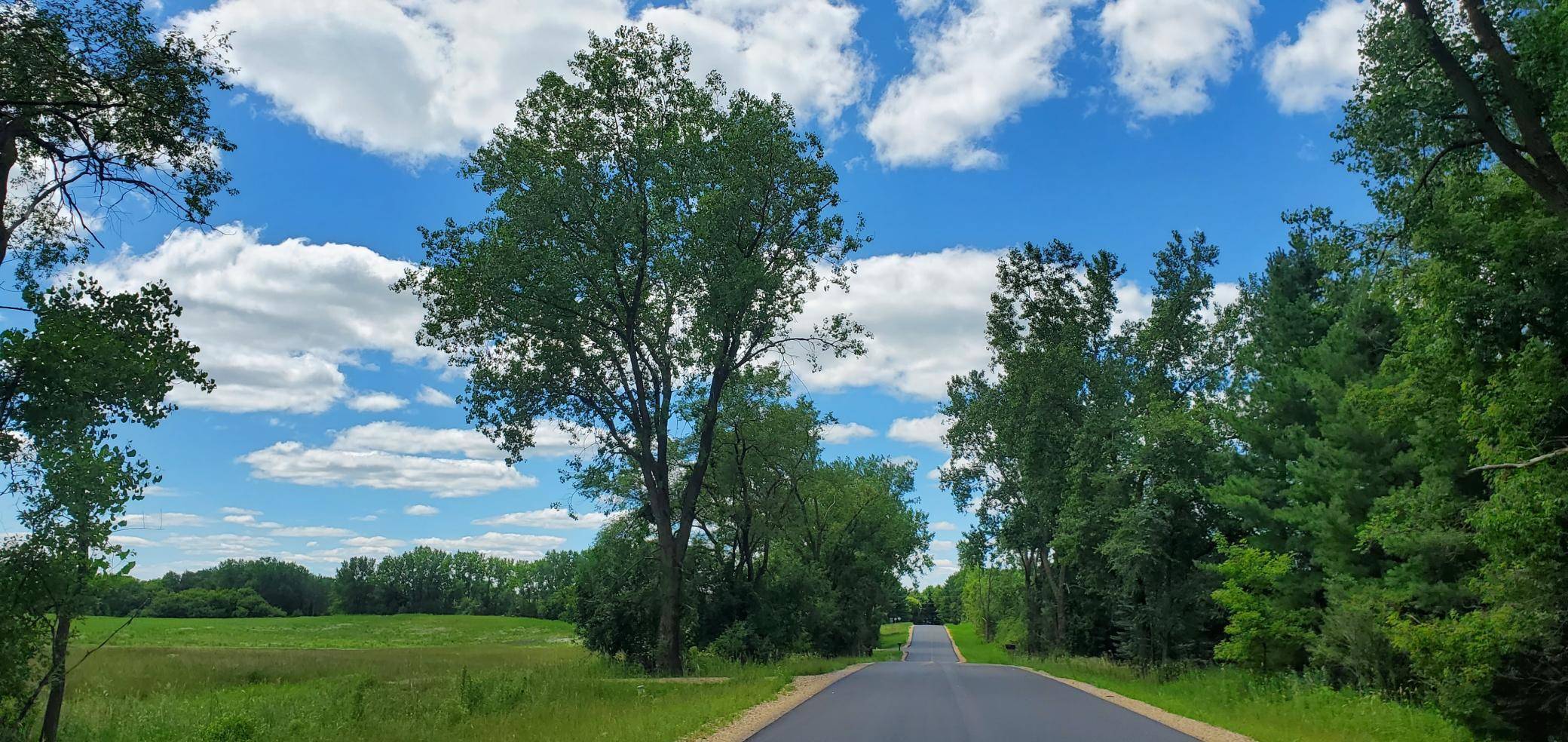 339 144th AVE, Houlton, WI 54082
