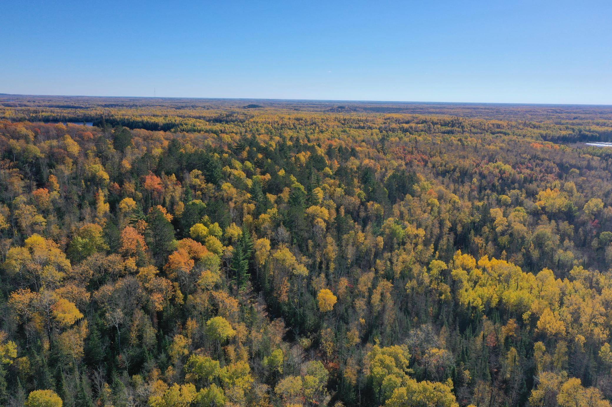 TBD French Rd., Chisholm, MN 55719