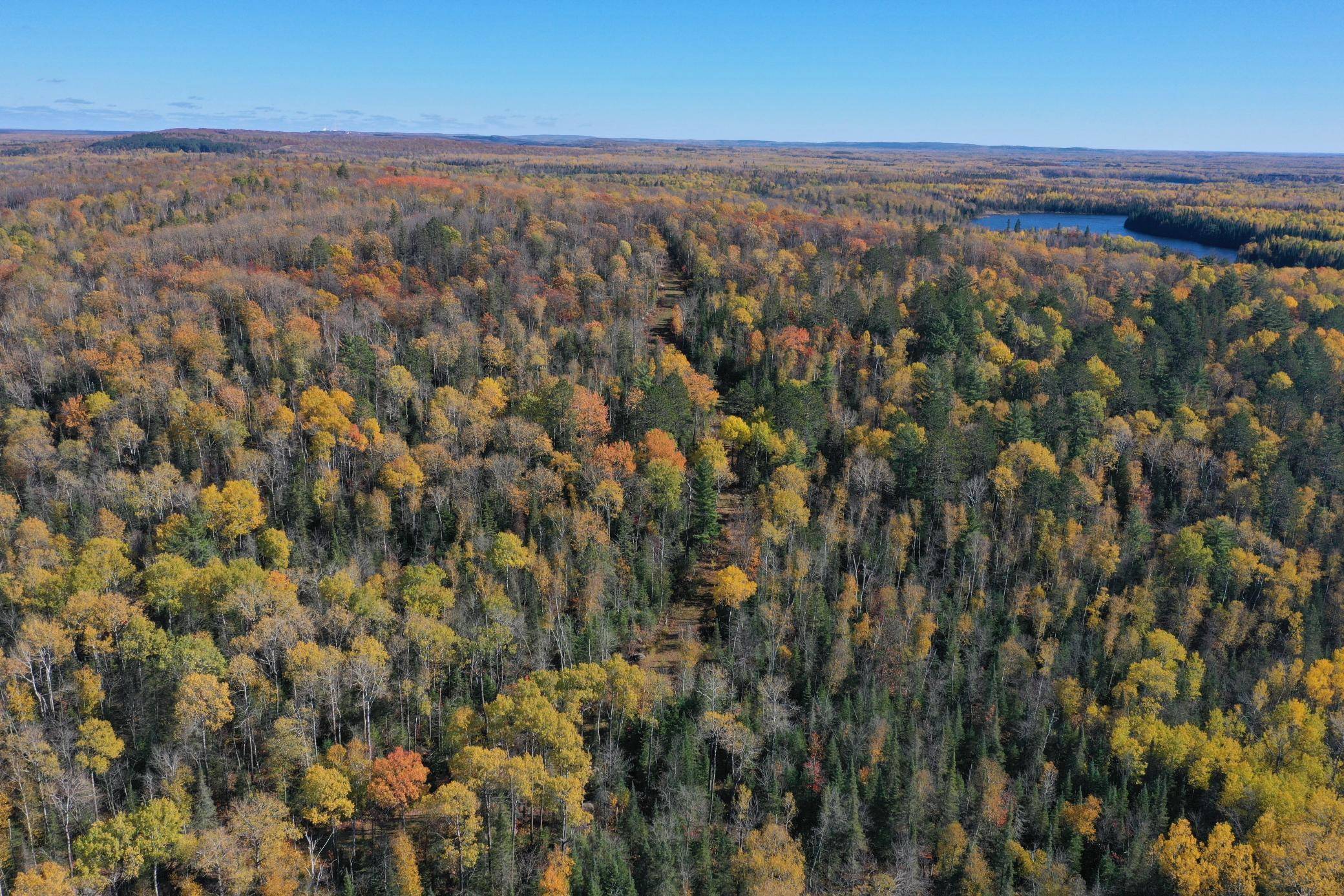 TBD French Rd., Chisholm, MN 55719