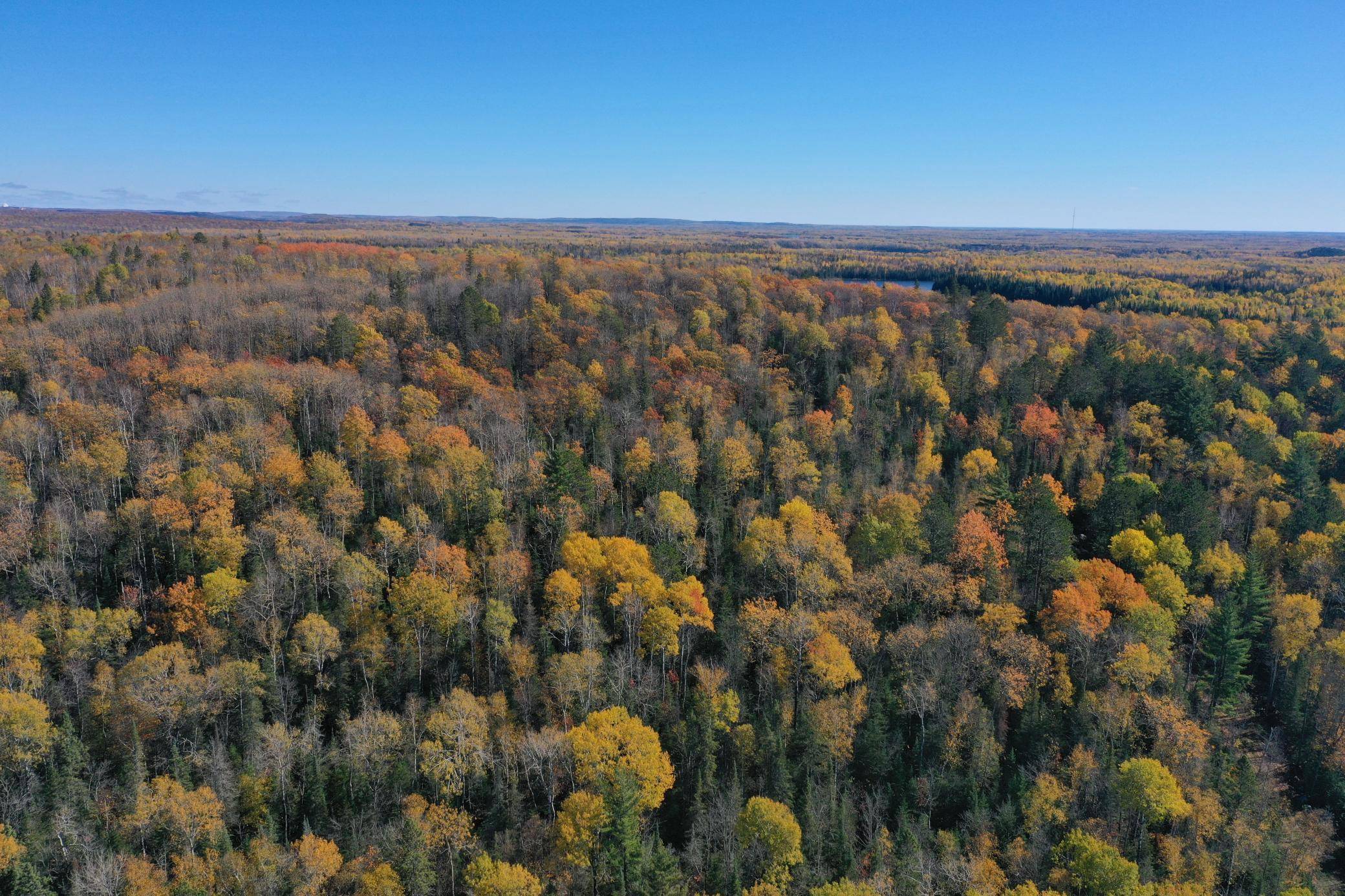 TBD French Rd., Chisholm, MN 55719