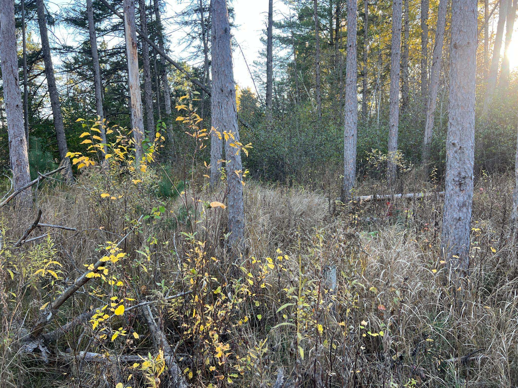 000 State Hwy 23 S., Sandstone, MN 55072