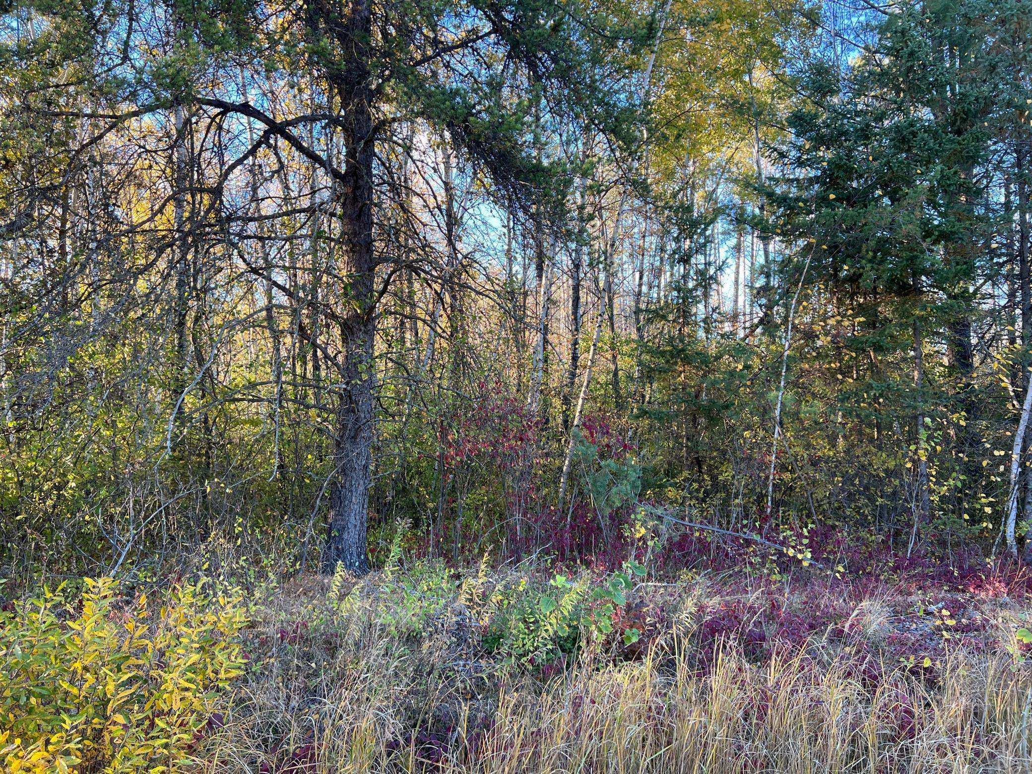 000 State Hwy 23 S., Sandstone, MN 55072