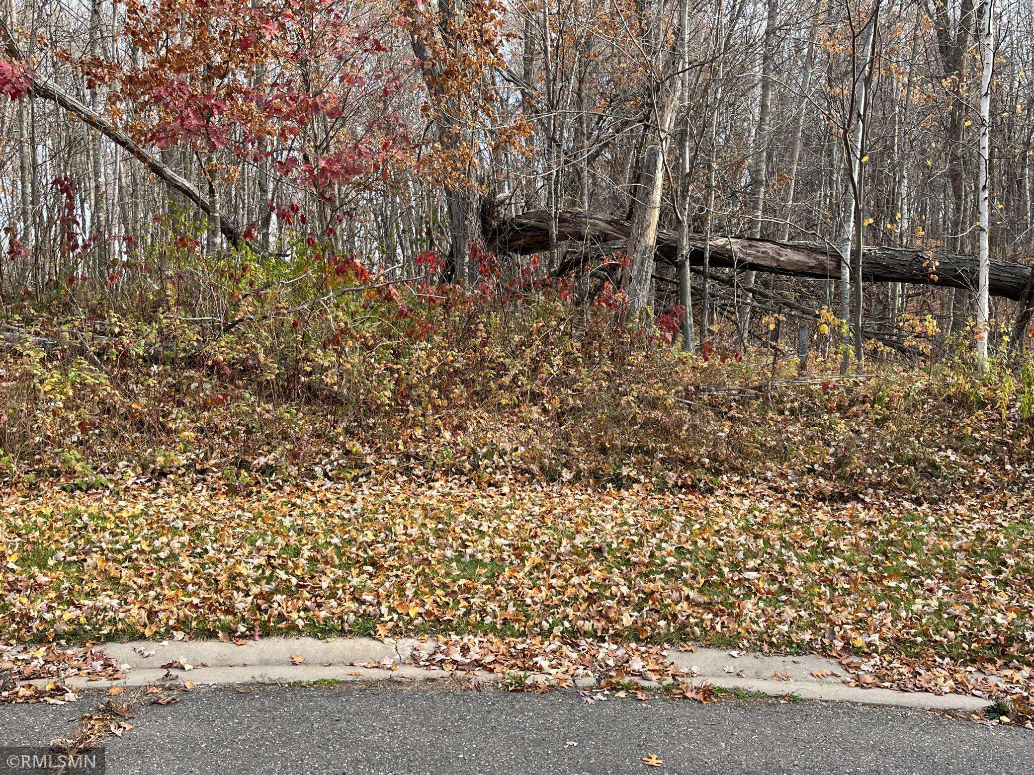 LOT 16 Wilderness Hills LN, Luck, WI 54853