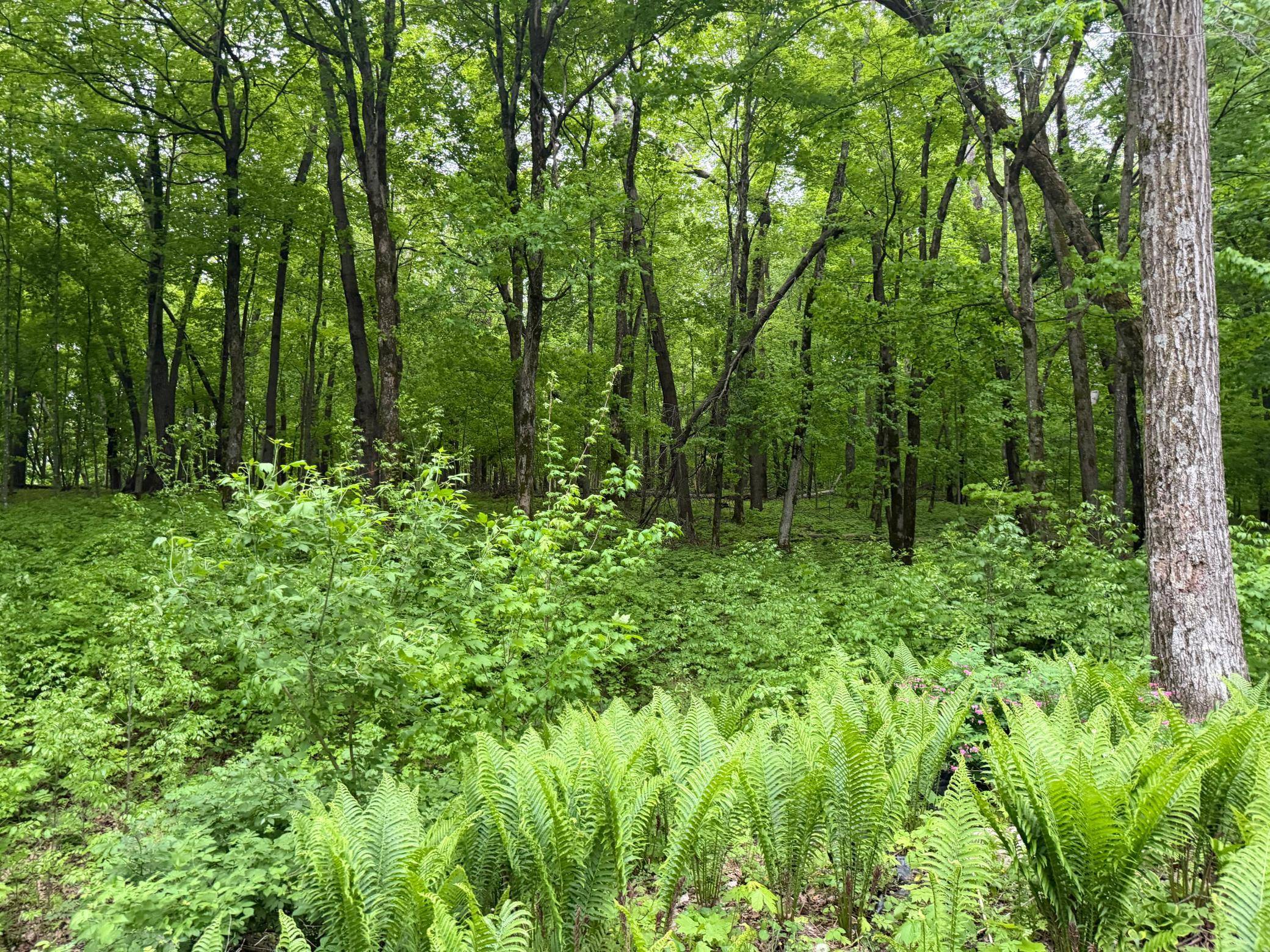 8309 County Road 19 SE, Rochester, MN 55904