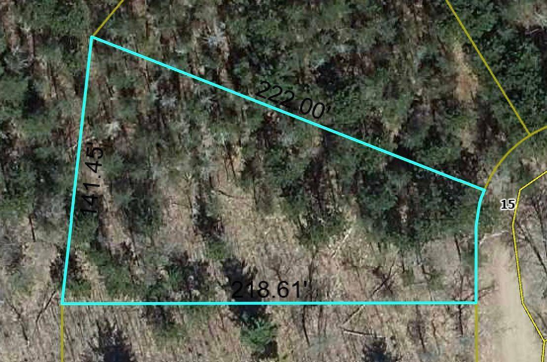 Lot 7 Fox Ridge PASS, Danbury, WI 54830
