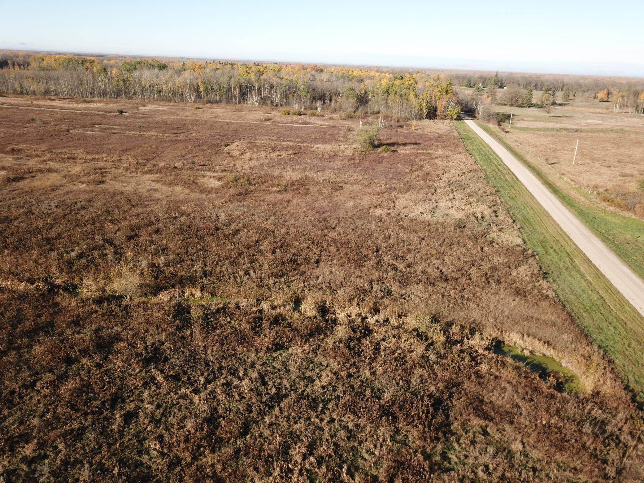 TBD 380th ST, Newfolden, MN 56738