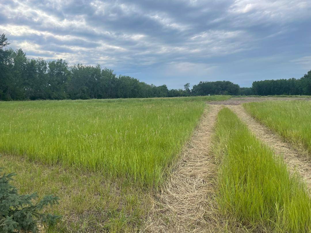 10220 State Hwy 9 S, Barnesville, MN 56514