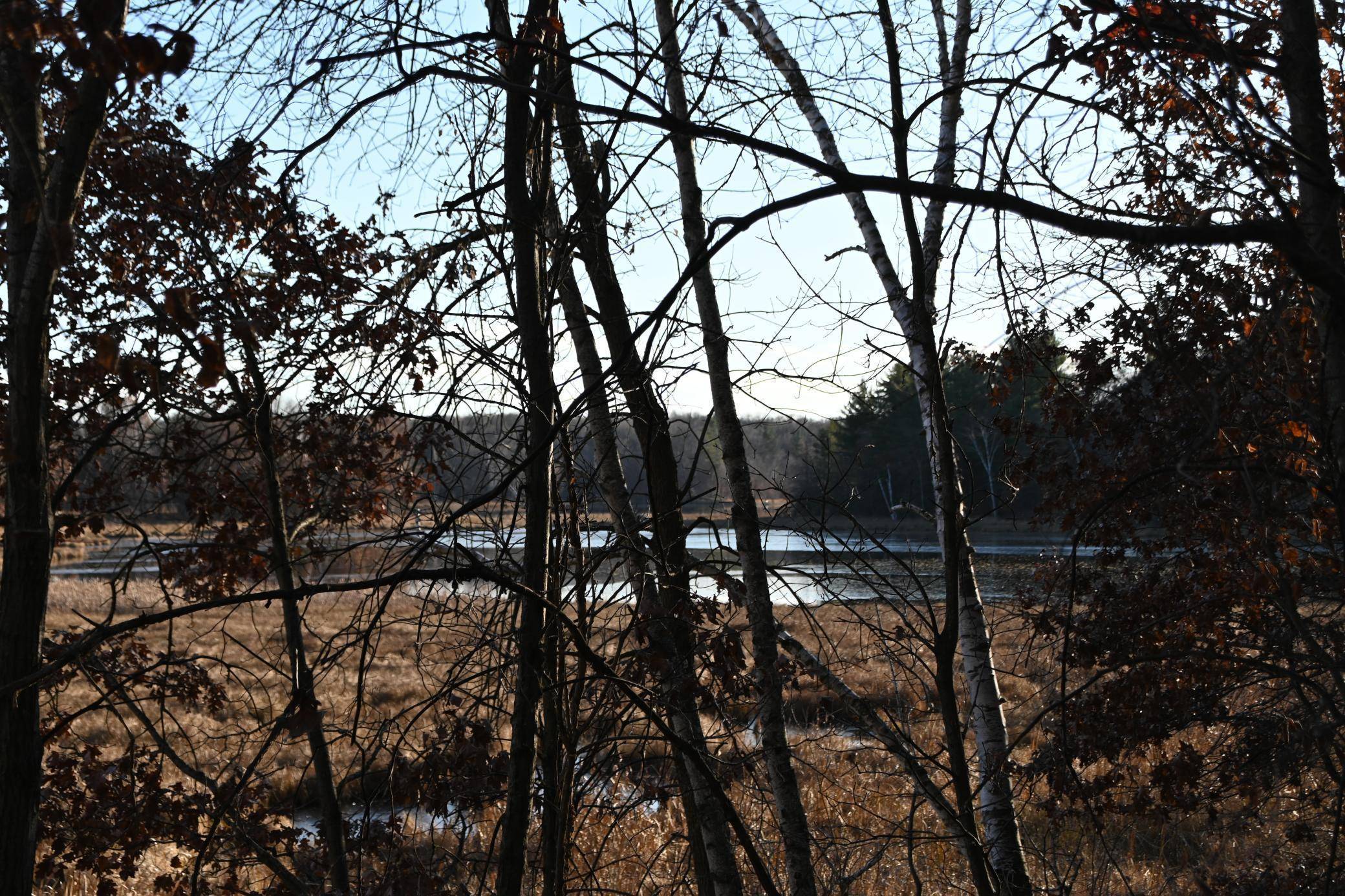 TBD Overland DR, Browerville, MN 56438