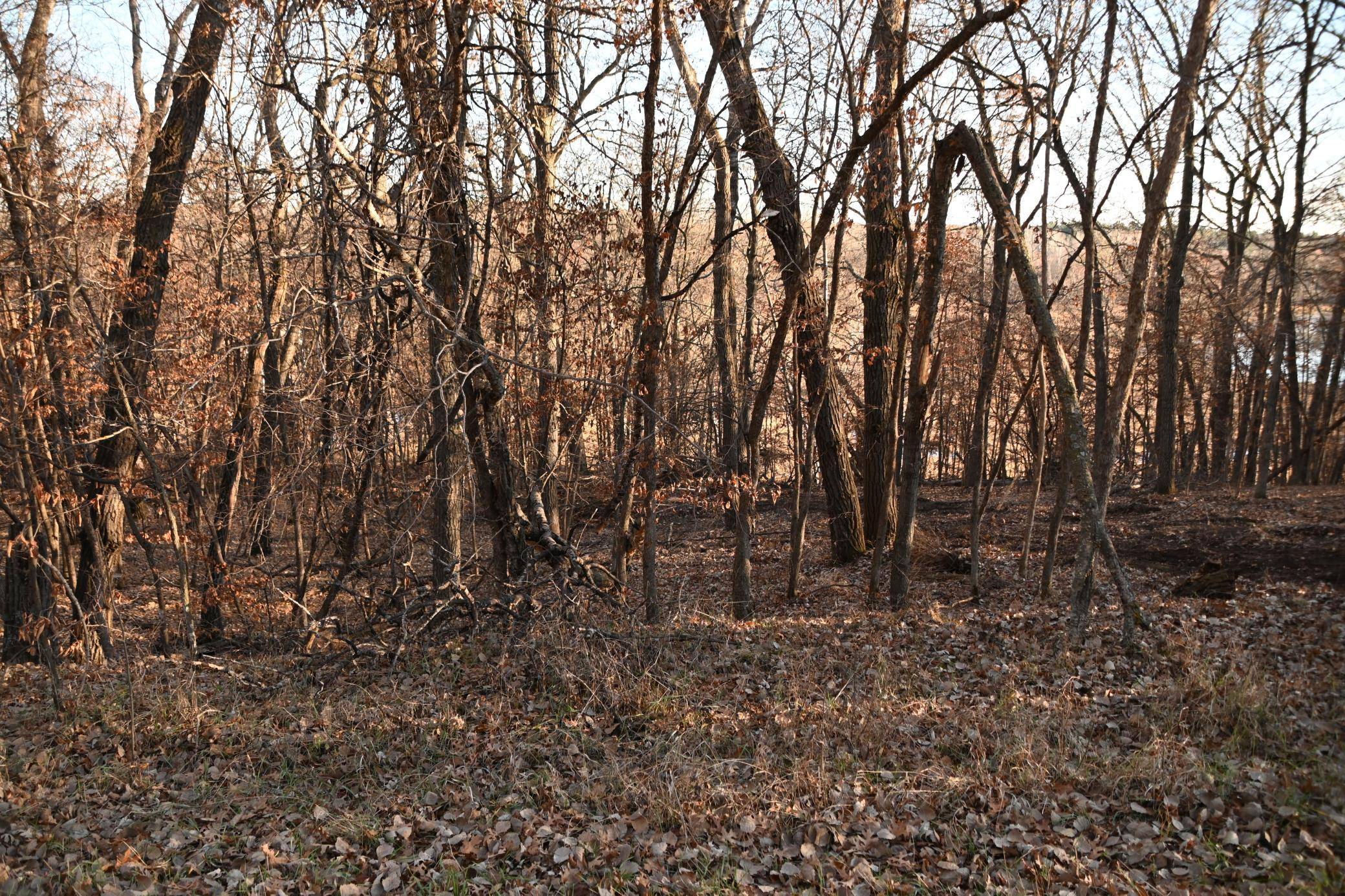 TBD Overland DR, Browerville, MN 56438