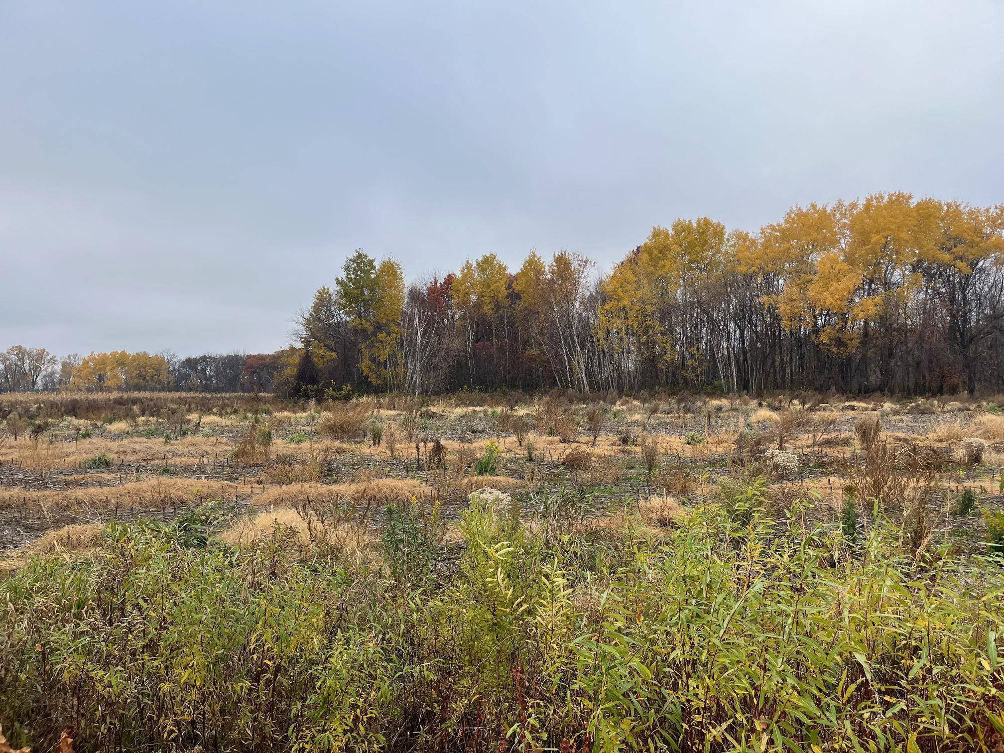 TBD (Lot 2) Brunswick RD, Stanchfield, MN 55080
