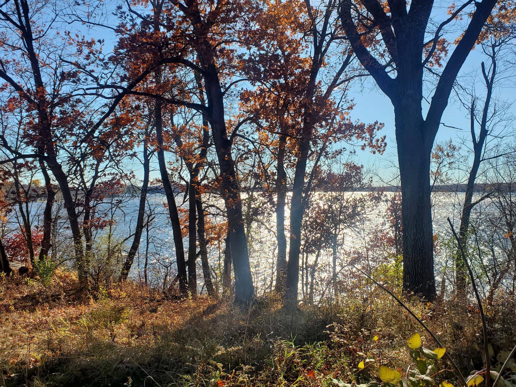 Lot 3 E Cedar Lake Ct, Star Prairie, WI 54026