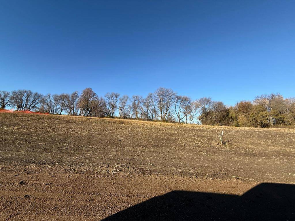 Lot 9, Block 1 Alivia's Avenue, Pelican Rapids, MN 56572