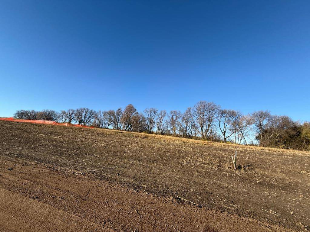 Lot 9, Block 1 Alivia's Avenue, Pelican Rapids, MN 56572