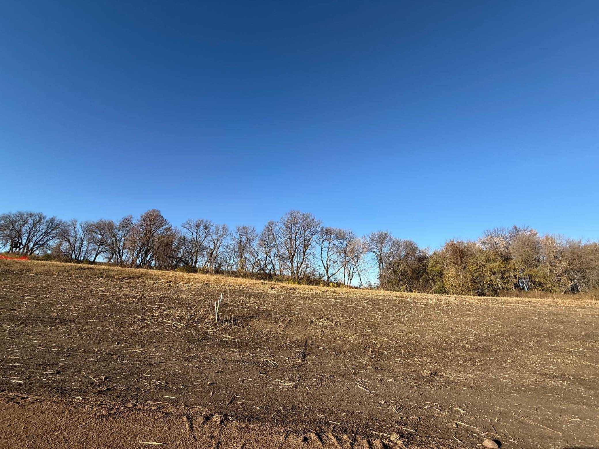 Lot 1, Block 2 Alivia's Avenue, Pelican Rapids, MN 56572