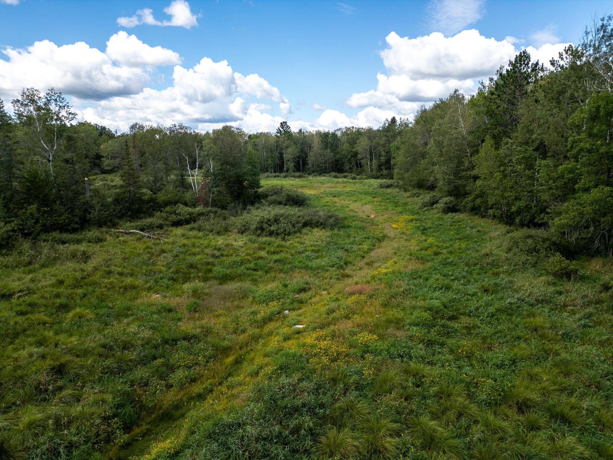 48029 110th PL, Tamarack, MN 55787