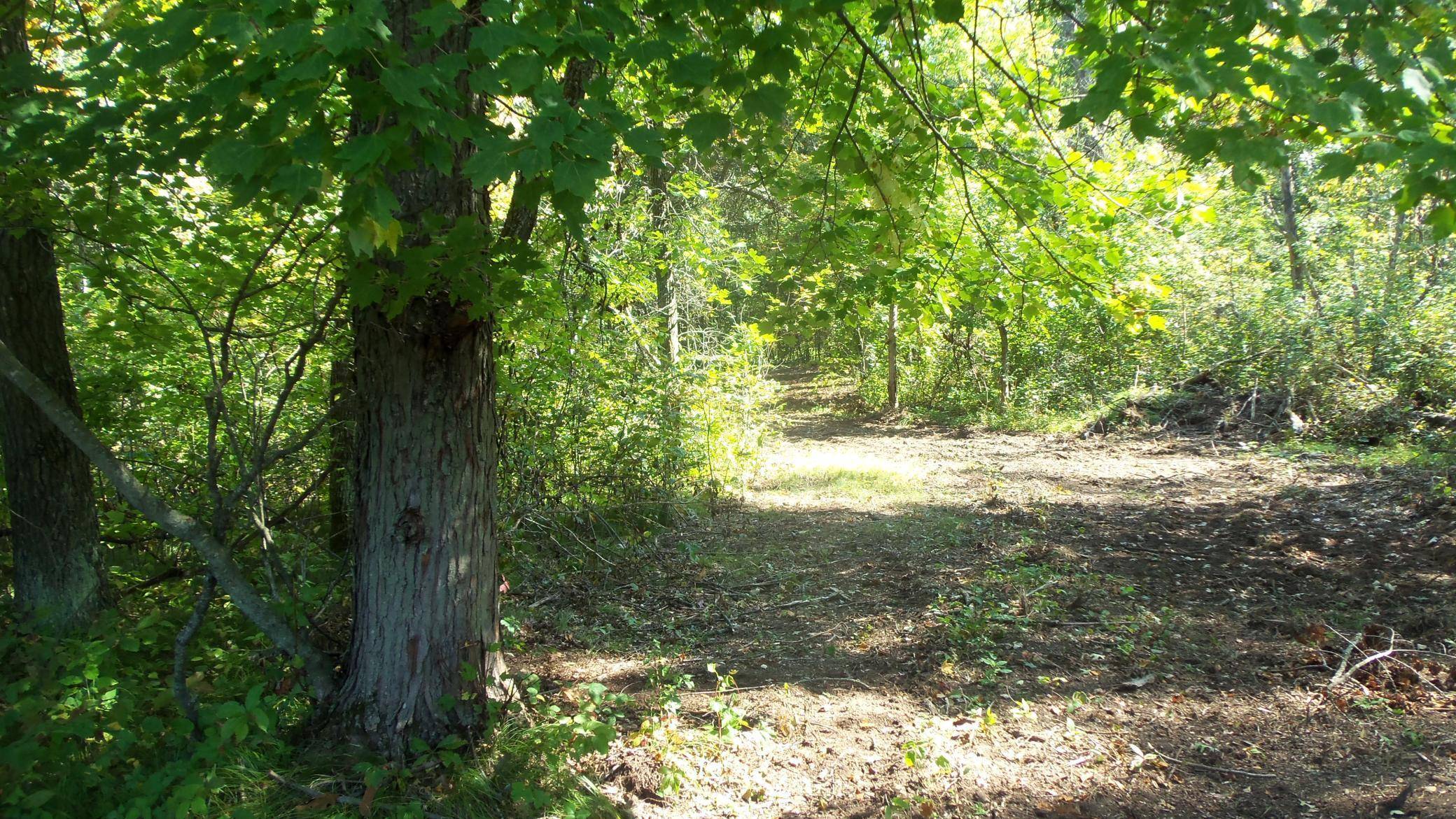 Lot 4 East River Rd, Grantsburg, WI 54840