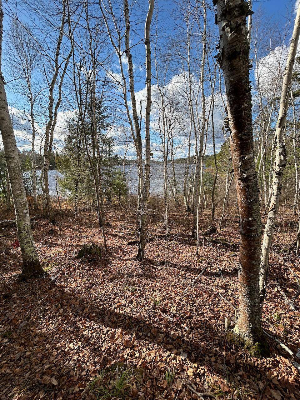 TBD Wilderness WAY, Cook, MN 55723