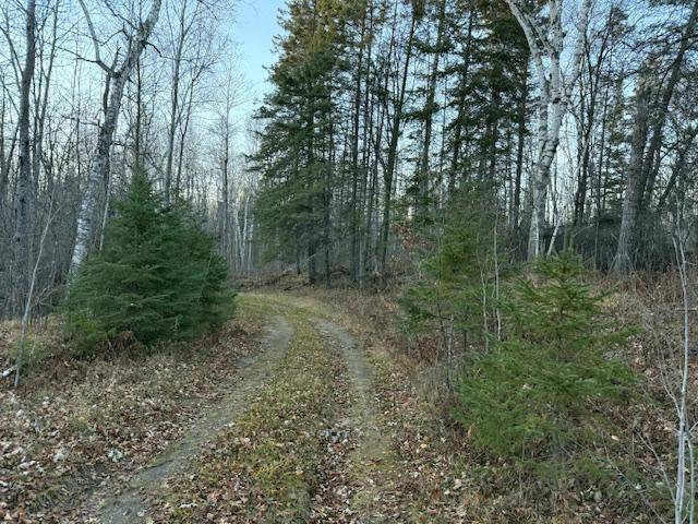 24965 Hammock TRL, Park Rapids, MN 56470
