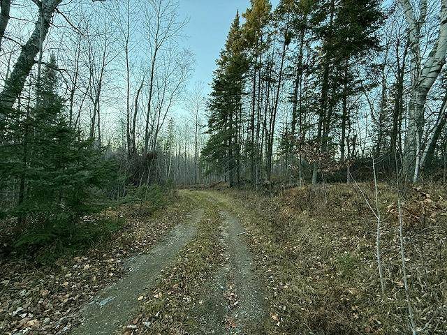 24965 Hammock TRL, Park Rapids, MN 56470