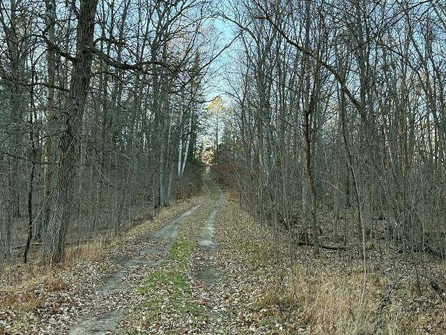 24965 Hammock TRL, Park Rapids, MN 56470