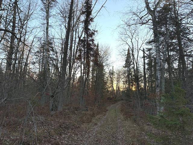 24965 Hammock TRL, Park Rapids, MN 56470