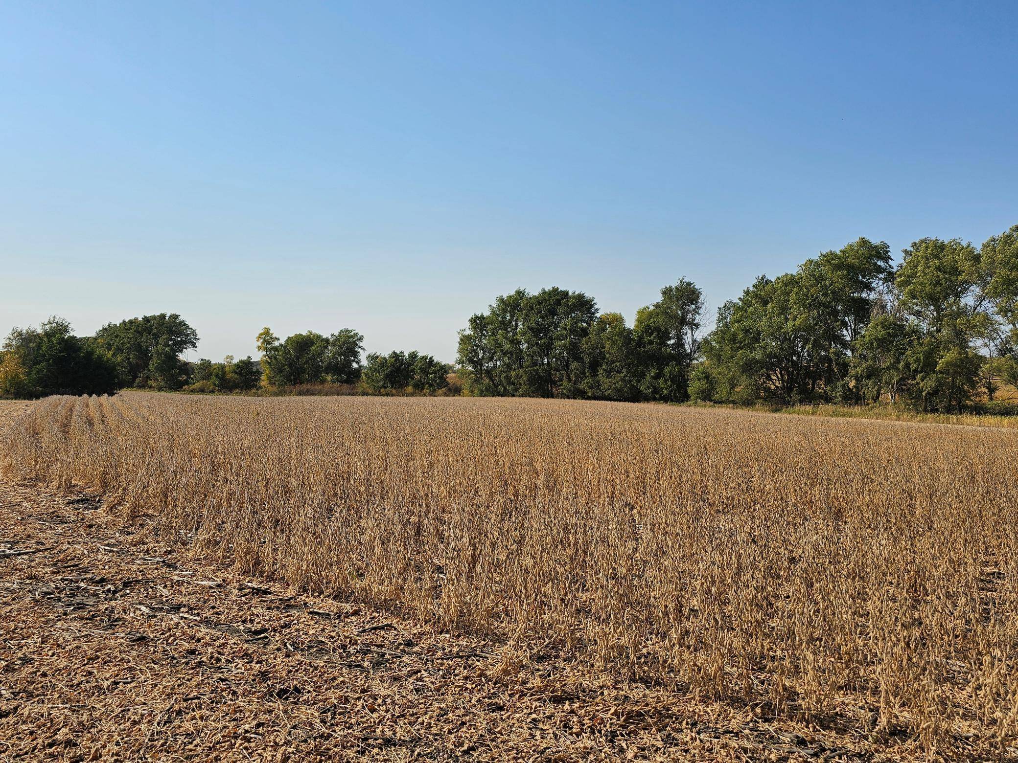 - Mamre Twp, Pennock, MN 56279