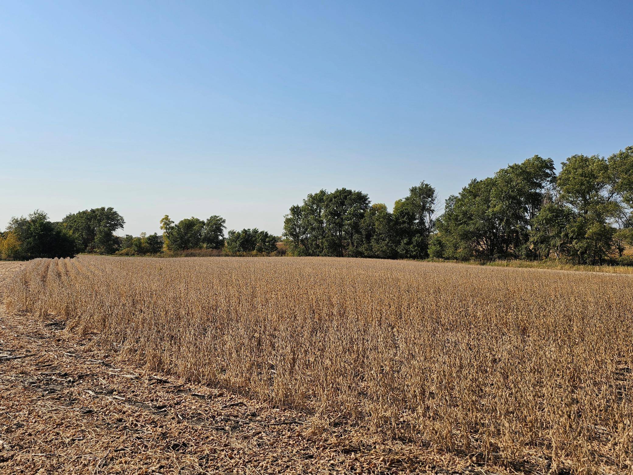 - Mamre Twp, Pennock, MN 56279