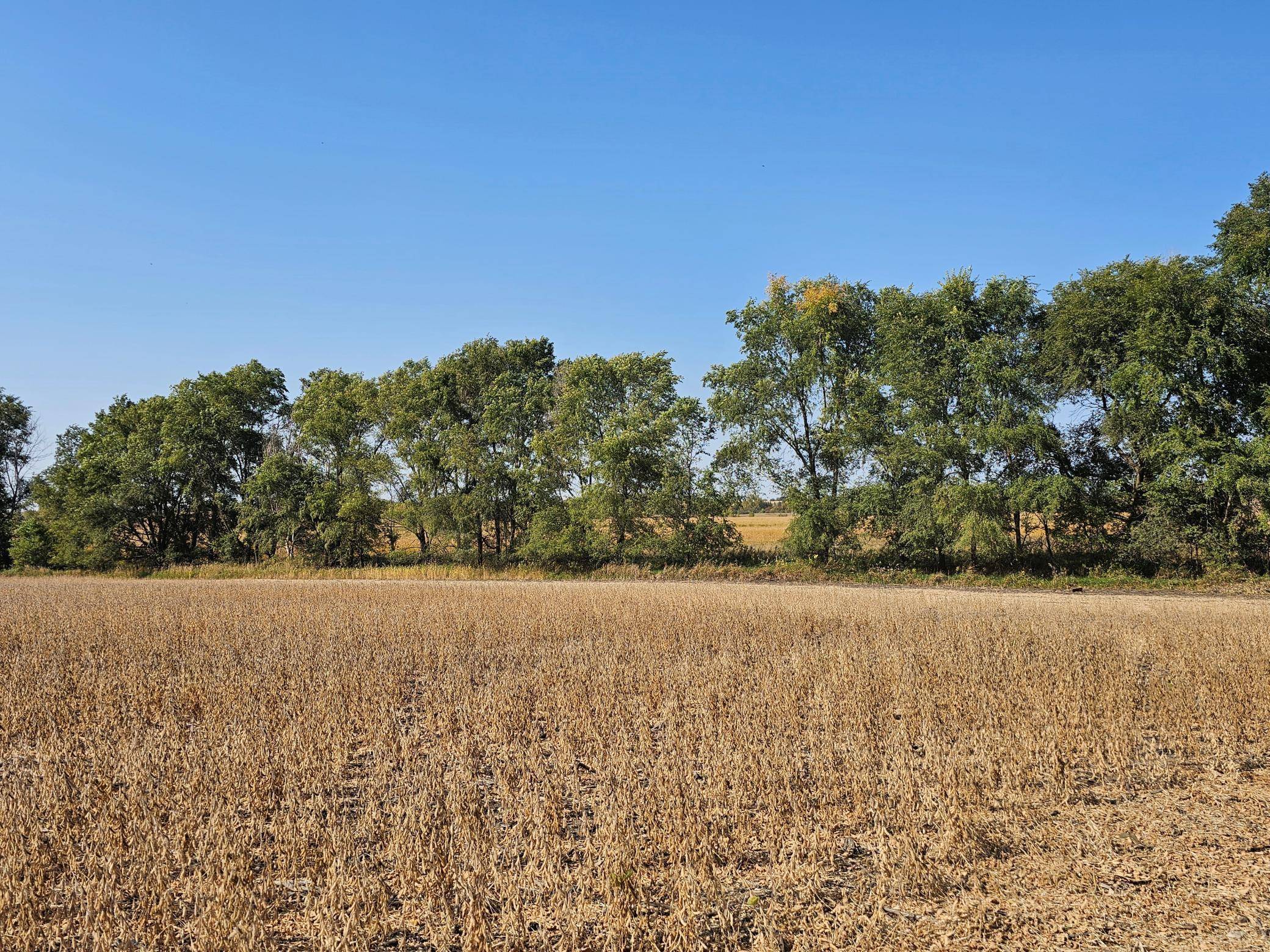 - Mamre Twp, Pennock, MN 56279