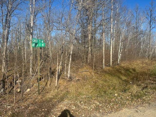 TBD Crest CT NE, Bemidji, MN 56601