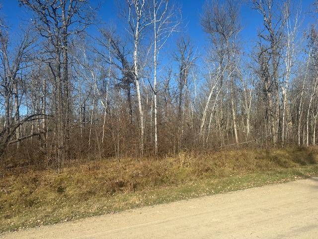 TBD Crest CT NE, Bemidji, MN 56601