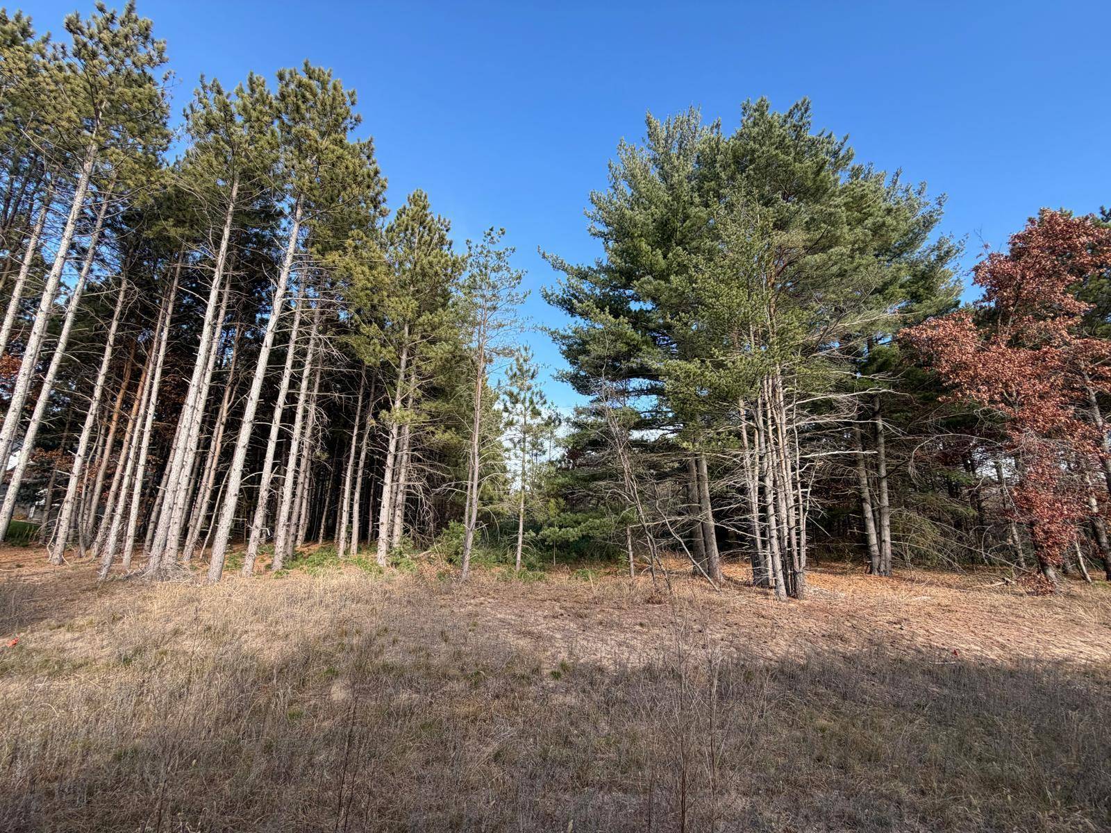 L2,Blk1 262nd AVE NW, Big Lake, MN 55309