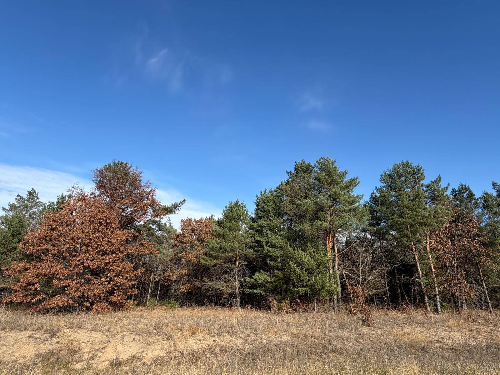 L5,Blk1 262nd AVE NW, Big Lake, MN 55309